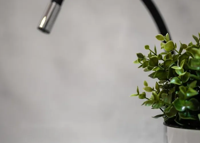 Foresteria Dom wakacyjny *